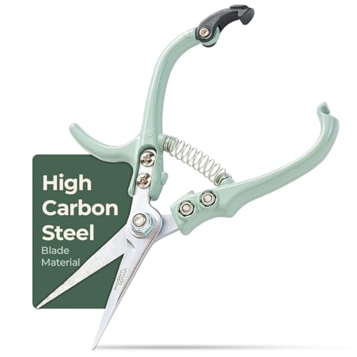 Ciseaux de taille à germes modernes - Ciseaux à couper les herbes - Outils de jardinage légers avec verrouillage facile - Ciseaux de jardin coupe-fleurs - Cadeau pour la fête des pères - Lame en acier au carbone + étui réutilisable (sauge, paquet de 1)