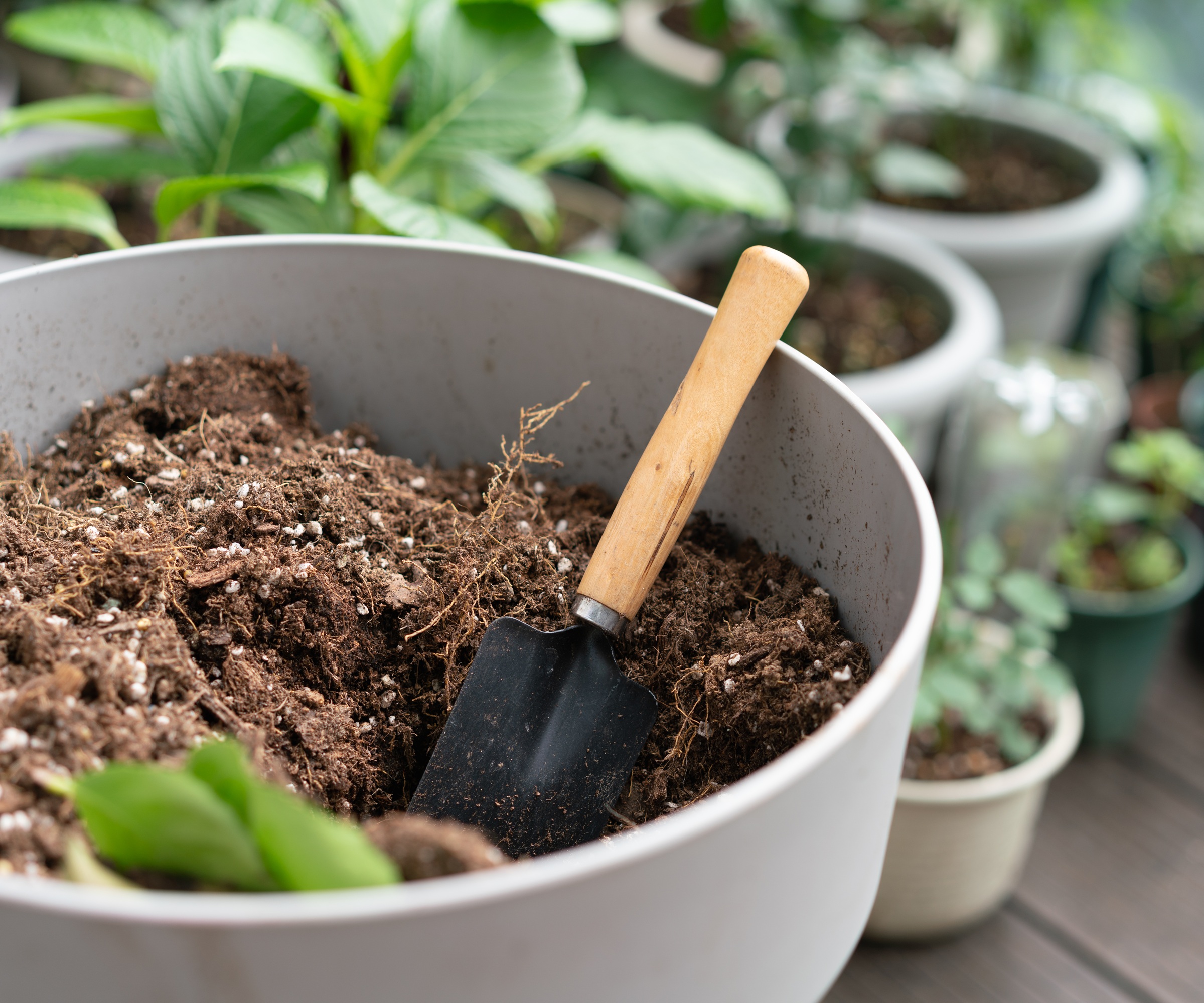Mélanger du compost avec de la vermiculite