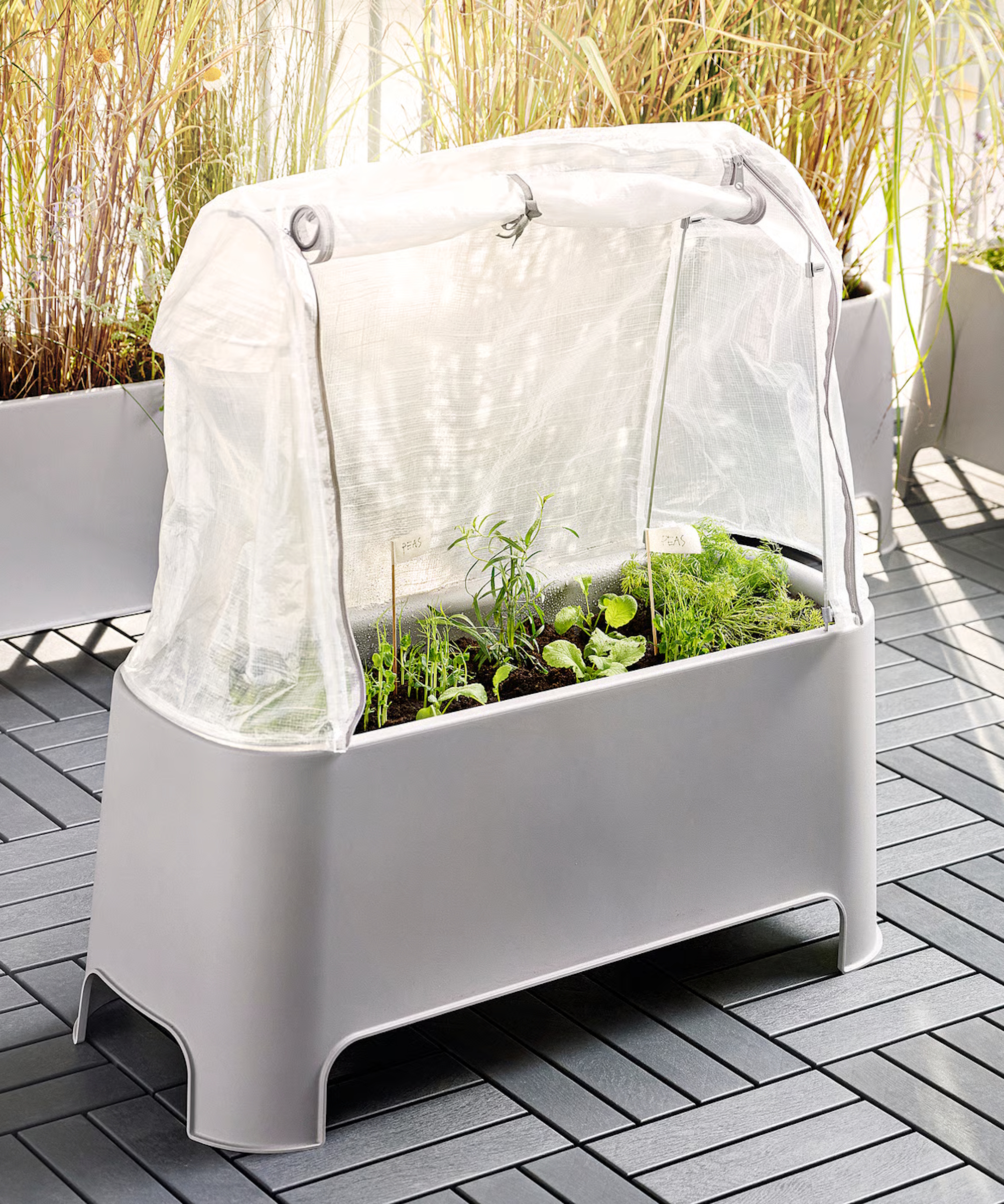 Ensemble de plantes IKEA ASPAREN