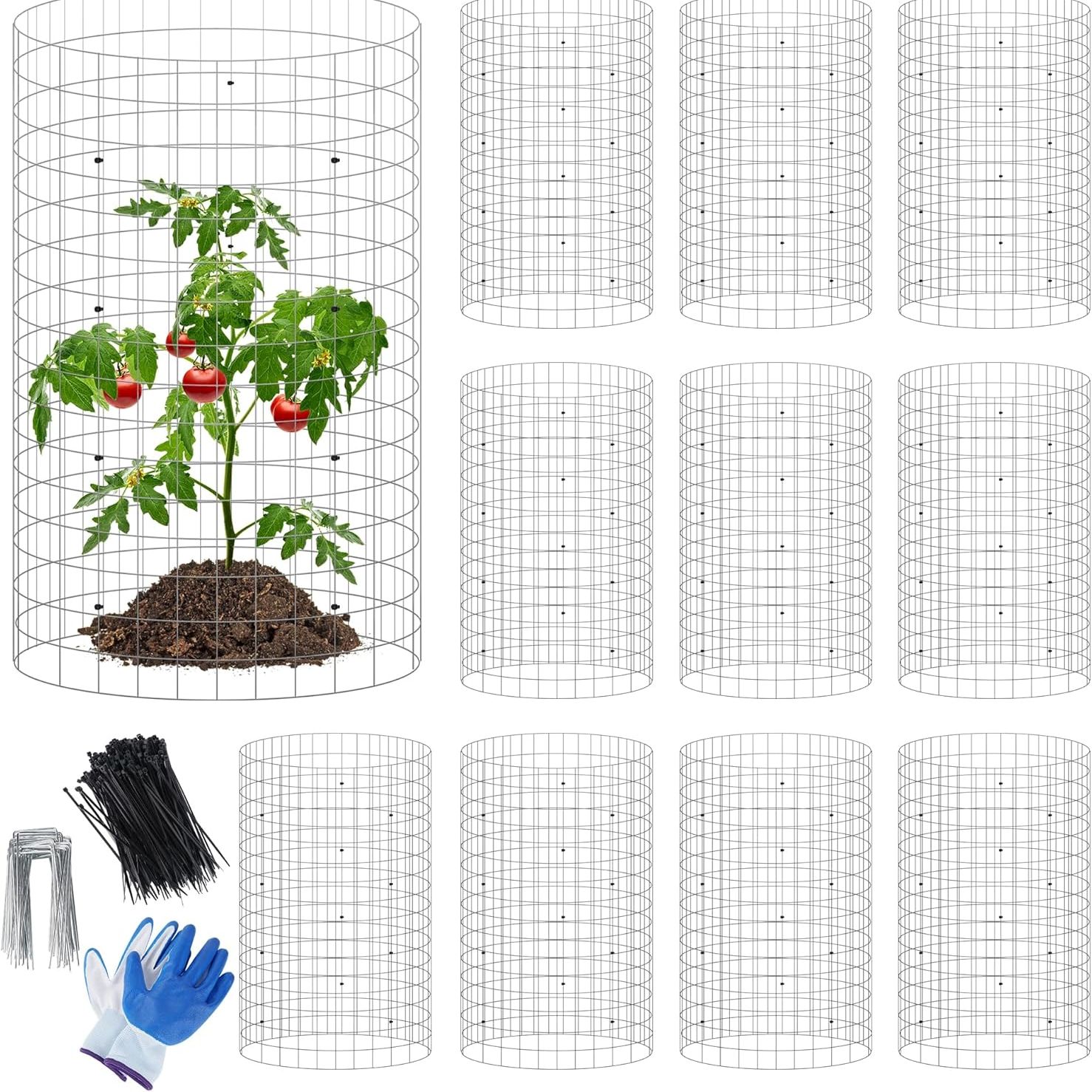 Cages à plantes amazoniennes