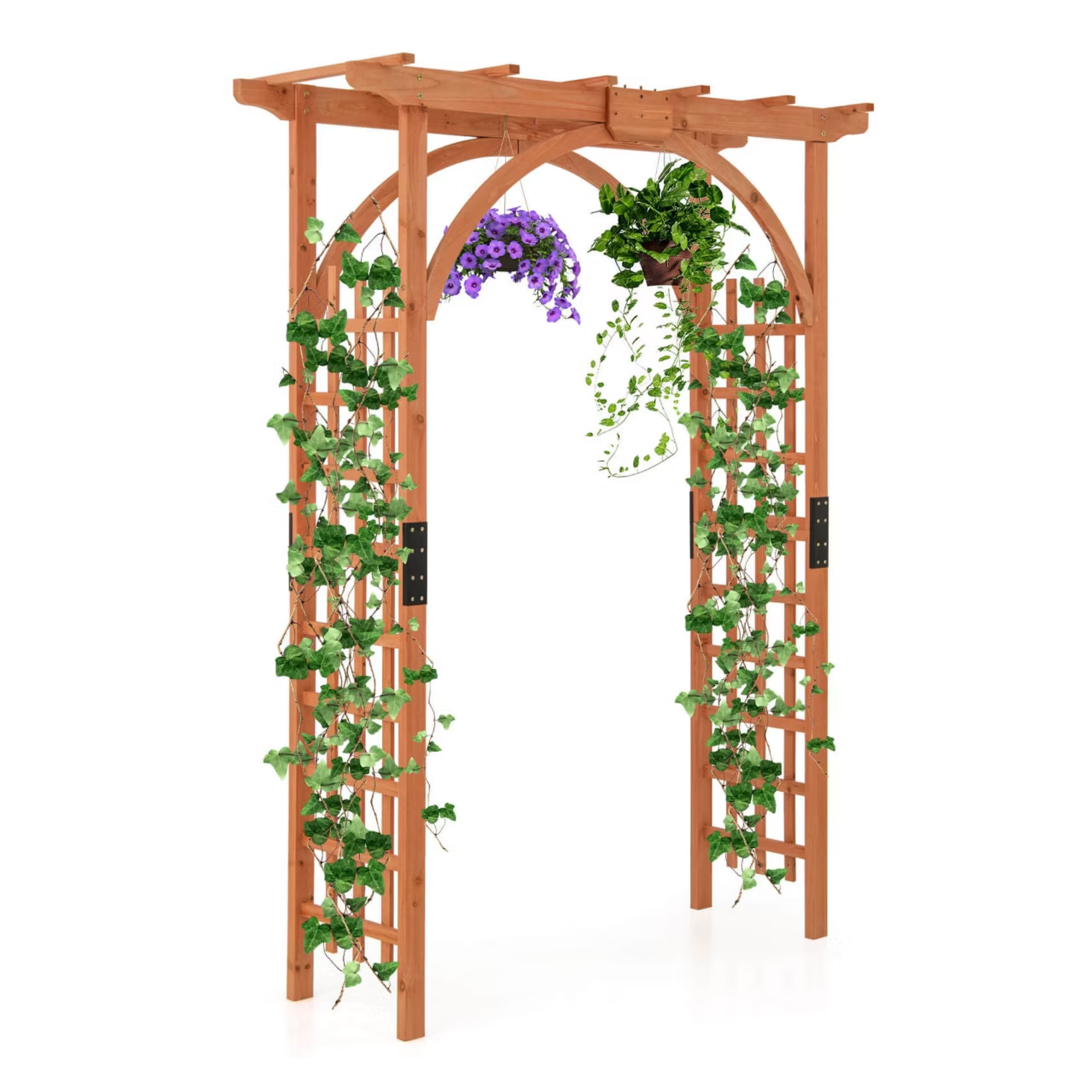 pergola cintrée