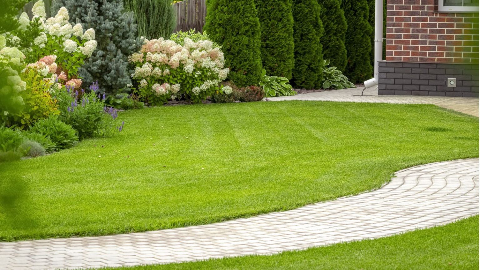 Les jardiniers réinitialisent leur pelouse en 30 minutes ne jurent que par en mai : pour une croissance plus rapide et plus saine presque immédiatement When to overseed a lawn in fall