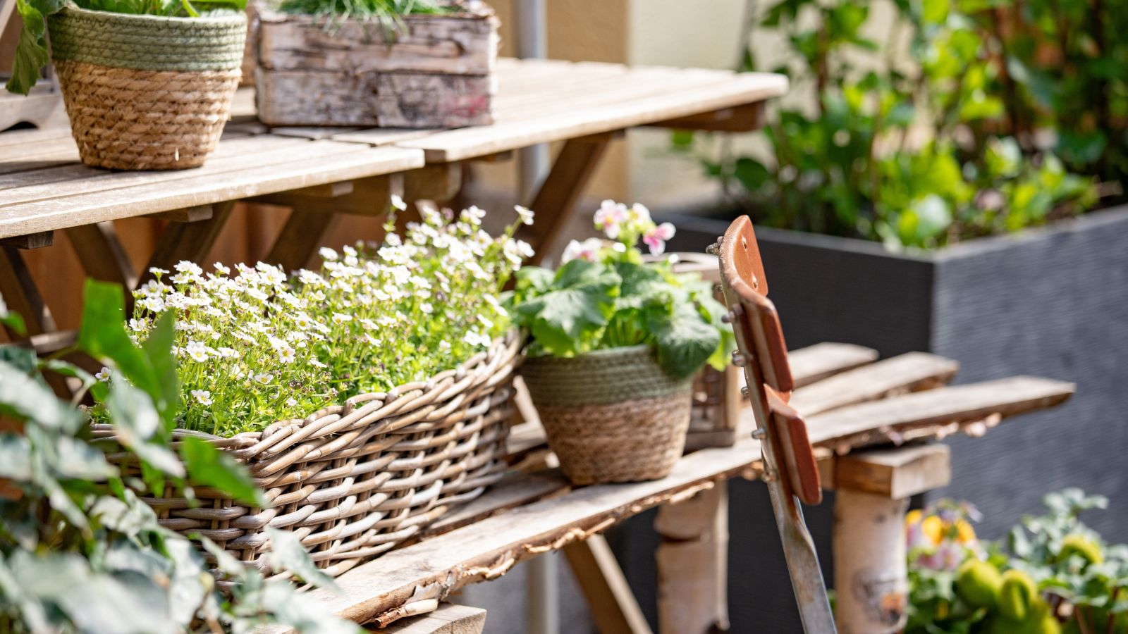 Jardinières en rotin et en osier sur une étagère en bois dans un jardin