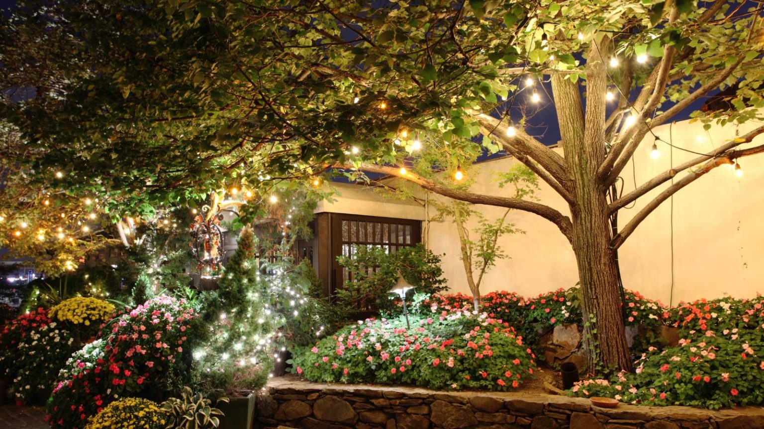 Les lampes solaires Blossom de Lidl transforment votre jardin en forêt enchantée à la tombée de la nuit Garden with flowers and large tree illuminated by string lights