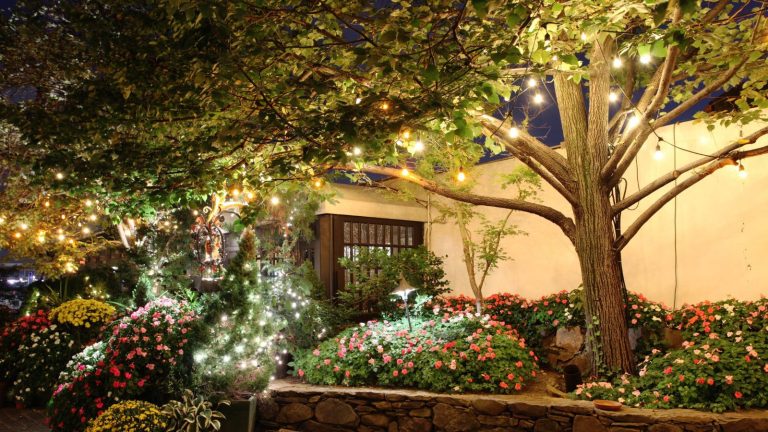 Garden with flowers and large tree illuminated by string lights