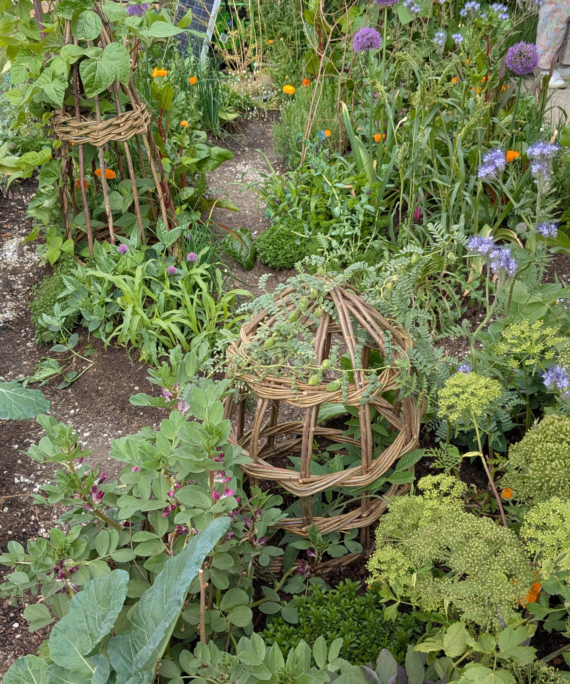 Le jardin du futur au RHS Chelsea Flower Show