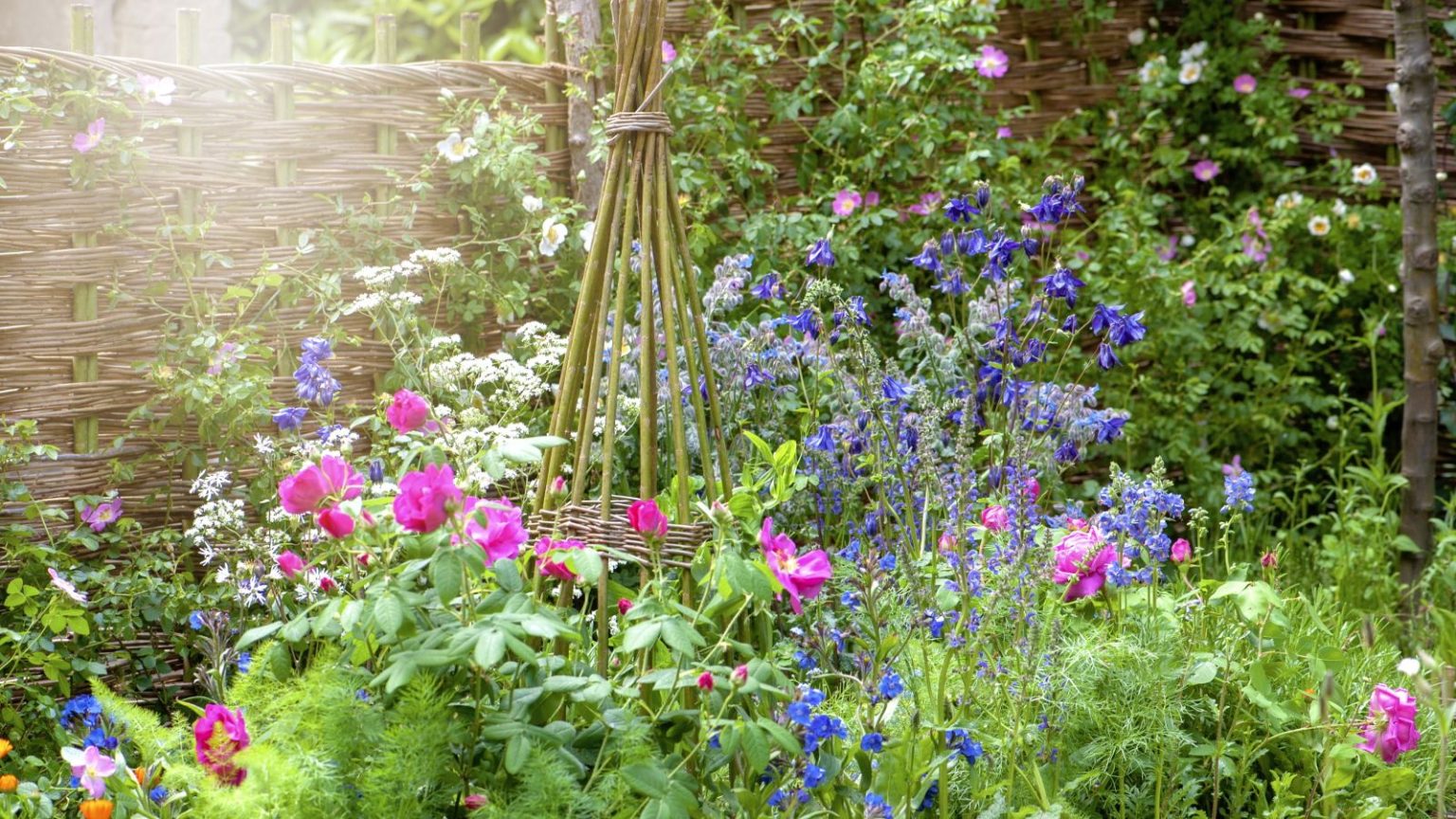 Les meilleurs supports naturels pour les plantes vivaces de grande taille – des tuteurs durables qui ont fière allure dans les bordures An English cottage garden flowerbed with a woven wicker plant support