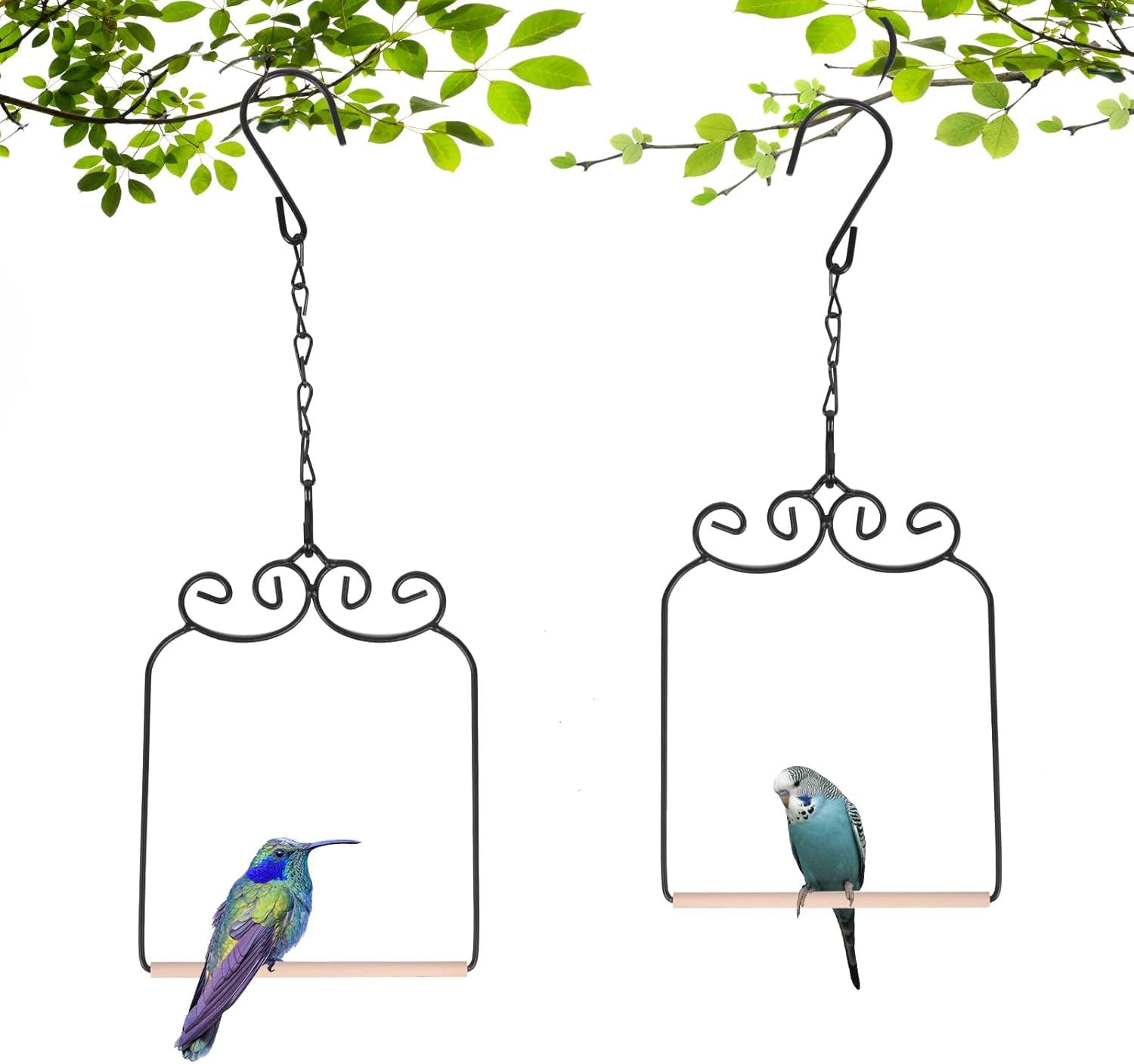 Balançoires colibris d'Amazonie