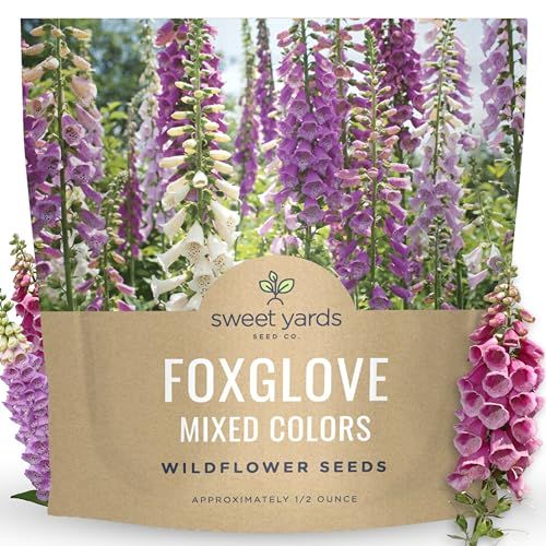 Digitale couleurs mélangées – Grand paquet de 1/2 once – 125 000 graines de fleurs pour la plantation – Digitalis Purpurea