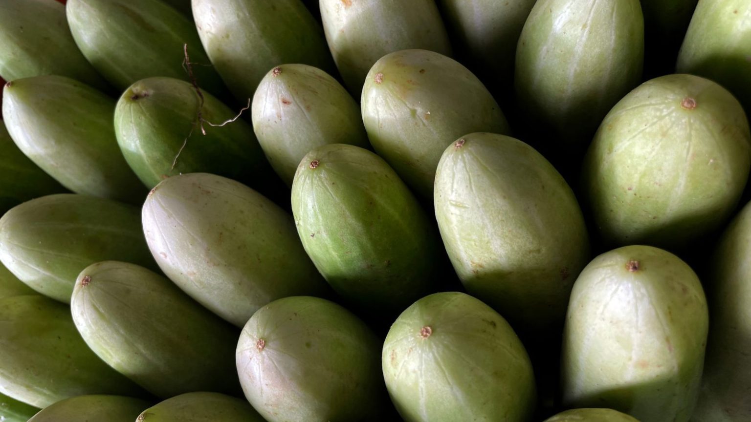 Pale green cucumbers