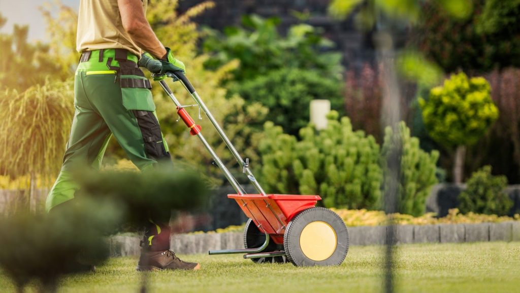 Cet outil sous-estimé pourrait complètement changer la façon dont vous entretenez votre pelouse – les experts en jardinage ne jurent que par lui Feeding a lawn