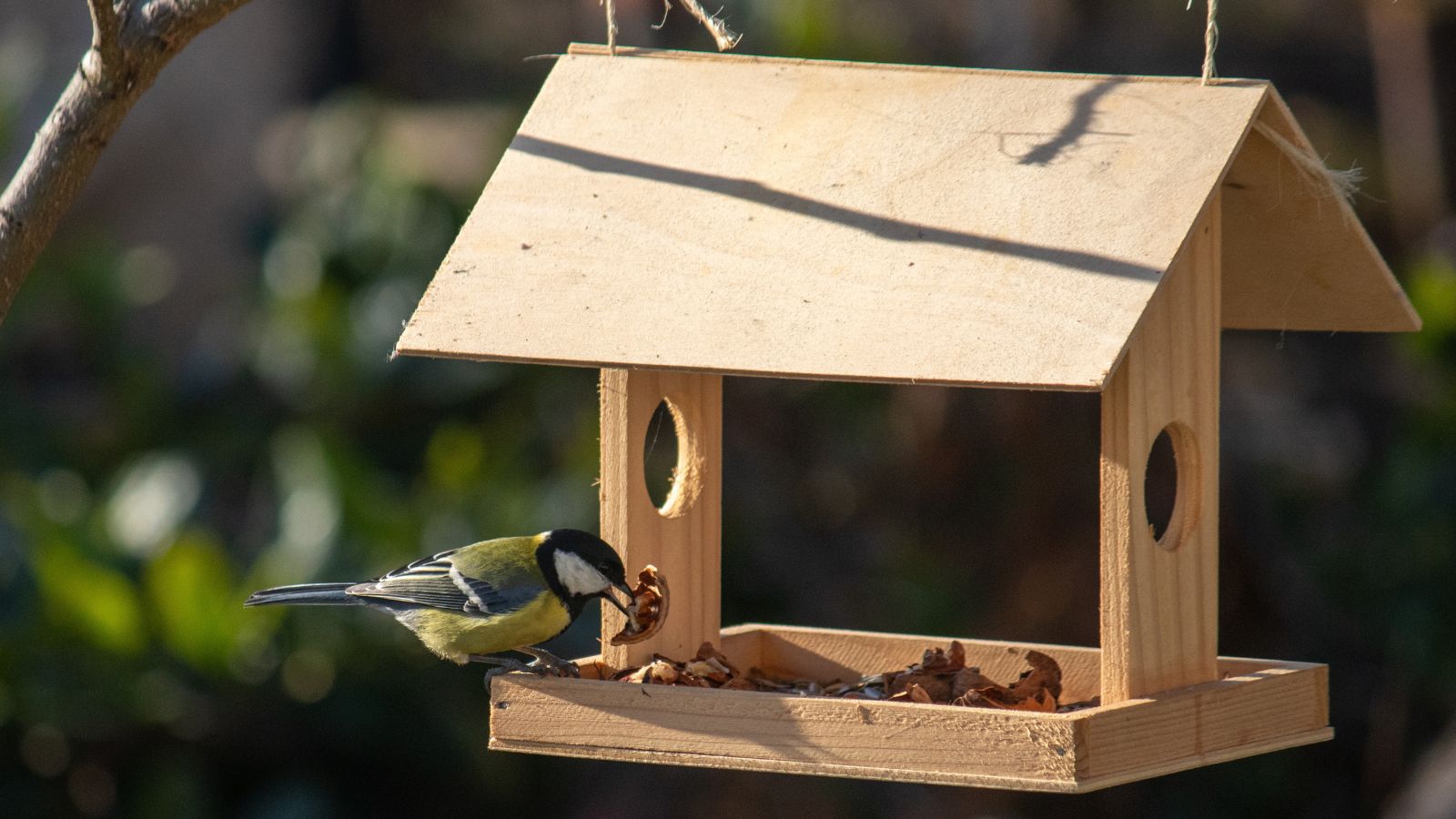 Oiseau perché sur une mangeoire à oiseaux en forme de maison en bois
