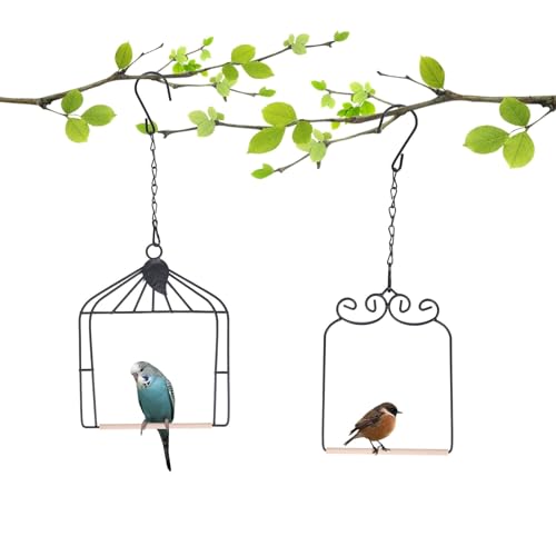 Xyadx Balançoires et perchoirs pour colibris à cadre en métal avec cheville en bois Balançoire à oiseaux noire Perche à oiseaux extérieure Balançoire à colibris (2pk différents)