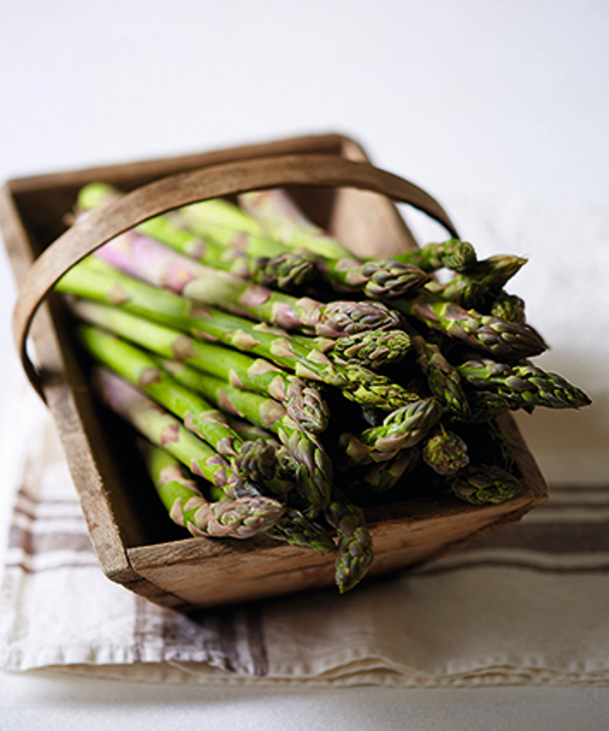 Un panier de récolte en bois est rempli de pointes d'asperges fraîches