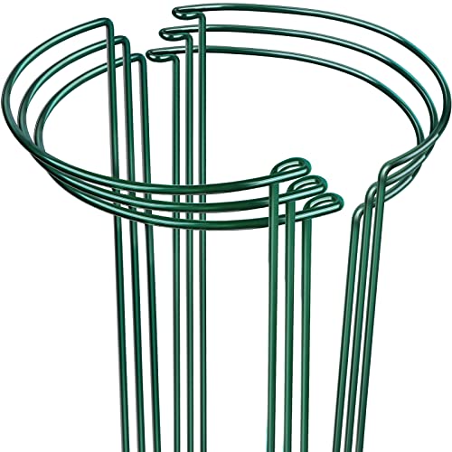 Leobro Lot de 6 piquets de support pour plantes, support en métal pour pivoines, supports pour plantes de jardin, cage à plantes, anneau de support pour plantes, piquets de support pour pivoines, tomates, hortensias, plantes d'intérieur, 9,8 WX 15,7 H