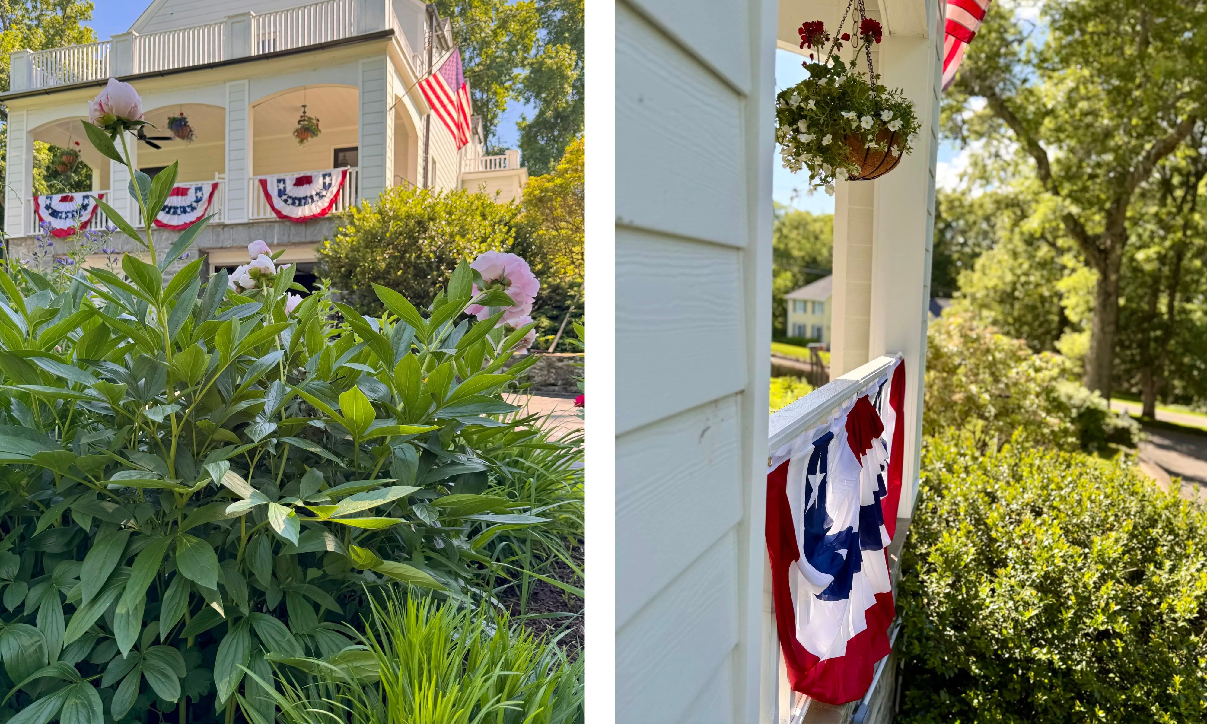 Buissons de pivoines roses devant une maison blanche avec des drapeaux américains sur la gauche ; une vue depuis une balustrade de porche blanche décorée de banderoles patriotiques sur la droite.