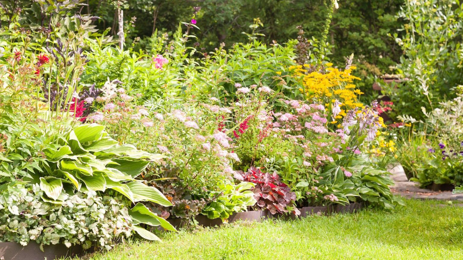 Divisez ces plantes vivaces en mai pour multiplier vos plantes préférées – et remplissez les bordures gratuitement A colorful flower bed full of perennial plants and shrubs