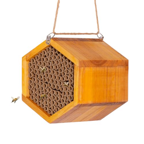 Mason Bee House – Ruche en bois naturel faite à la main recouverte de cire pour une étanchéité et une longue durée de vie – Attire les pollinisateurs d'abeilles paisibles dans votre jardin, maisons d'abeilles pour le jardin