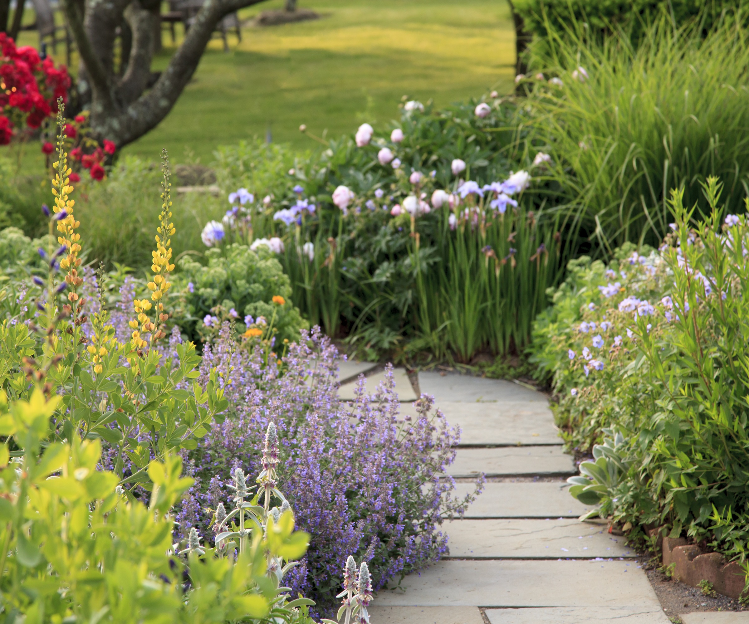 chemin pavé avec plantation douce