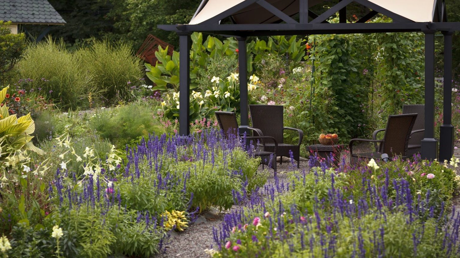 Garden hosting, perennial border, gazebo