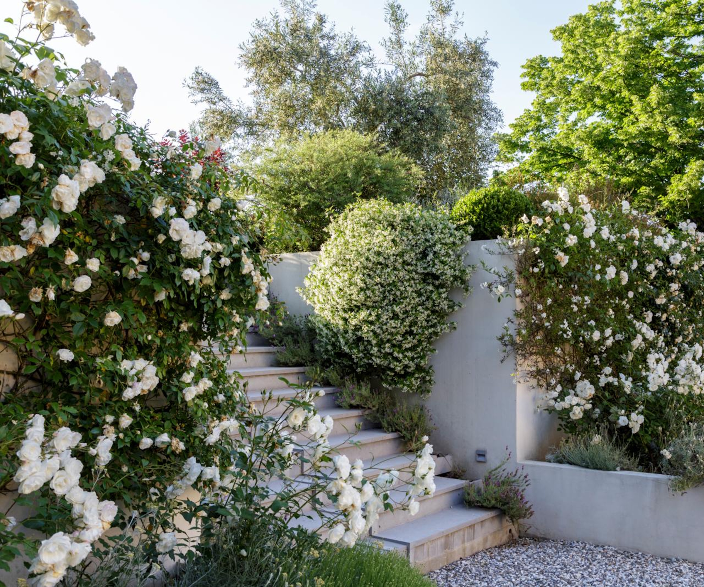 Roses blanches décousues de chaque côté des escaliers