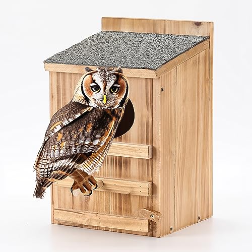 Nichoir en bois pour l'extérieur, nichoir pré-construit avec accès facile à nettoyer, 11 x 5 x 6 po, vis de montage et copeaux de bois inclus