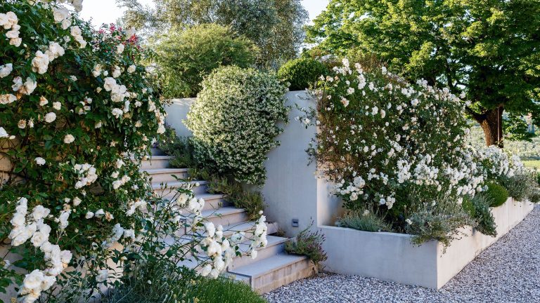 La nouvelle jardinière surélevée de Costco ressemble tout droit à un film de Nancy Meyers – et c'est une solution à l'épreuve des créatures pour les petits jardins