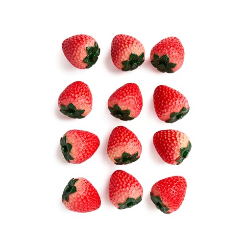 Stevie's Strawberry Rocks, ensemble de 12 fraises époxy artificielles réalistes, leurre de jardin, dissuasion des oiseaux