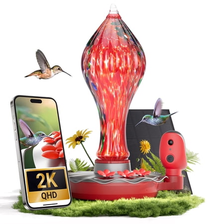 Mangeoire pour colibris en verre Tt Nature avec caméra, caméra d'alimentation pour colibris 2k Qhd avec fossé de fourmis, caméra pour oiseaux à énergie solaire, identification par IA des espèces d'oiseaux, niveau d'eau et amp; Moniteur de qualité, cadeau idéal