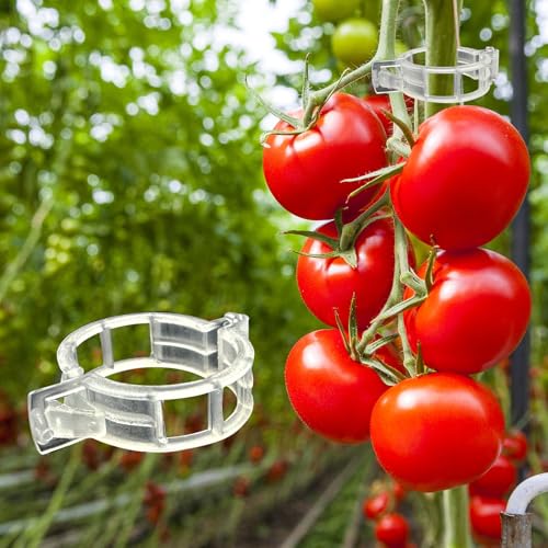 Dalzom&reg; Lot de 300 pinces à tomates, clips en plastique pour treillis, clips de support pour plantes, vignes de raisin, vignes de tomates, plantes de légumes, clips de jardin pour pousser verticalement, rendent les plantes plus saines