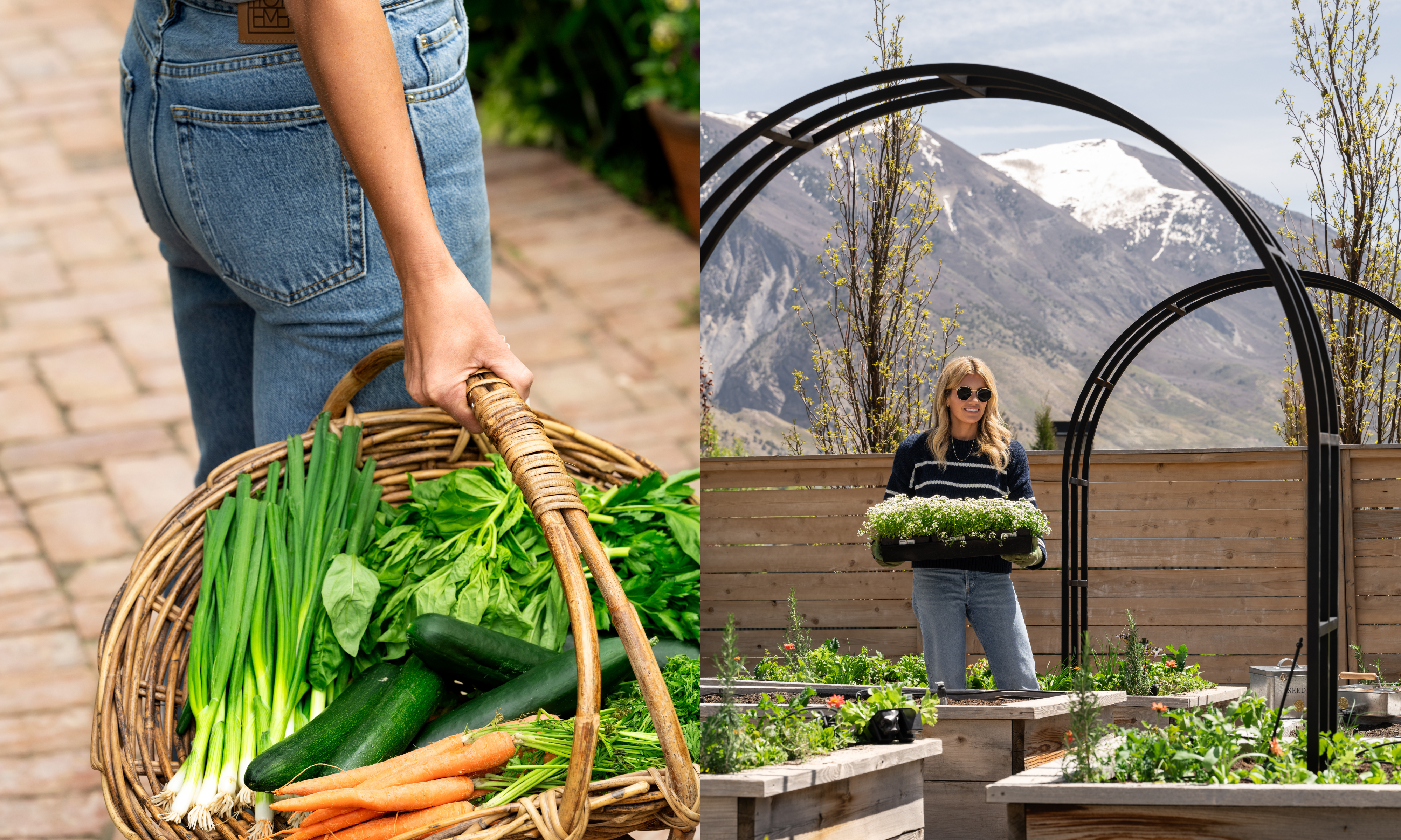 des légumes récoltés dans un panier en osier, et Shea McGee se tenait à côté de plates-bandes surélevées contenant des plantes en mottes