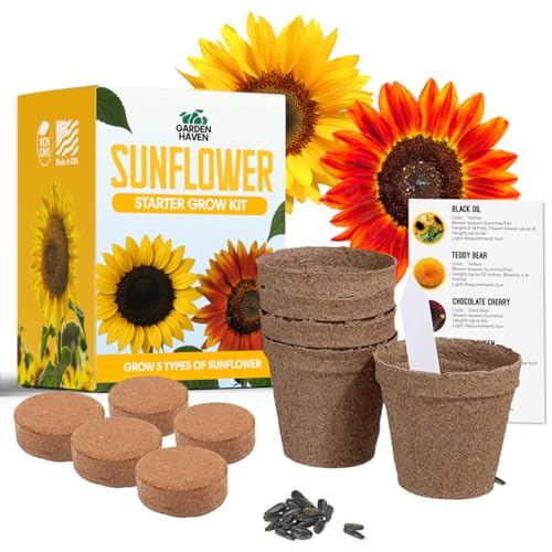 Kit de culture de graines de tournesol - Kit de jardin de fleurs de soleil tout-en-un - un cadeau complet de tournesol - Plantes de démarrage pour débutants - Pack de variétés de graines