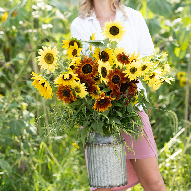 Sunny - Mélange de graines de tournesol