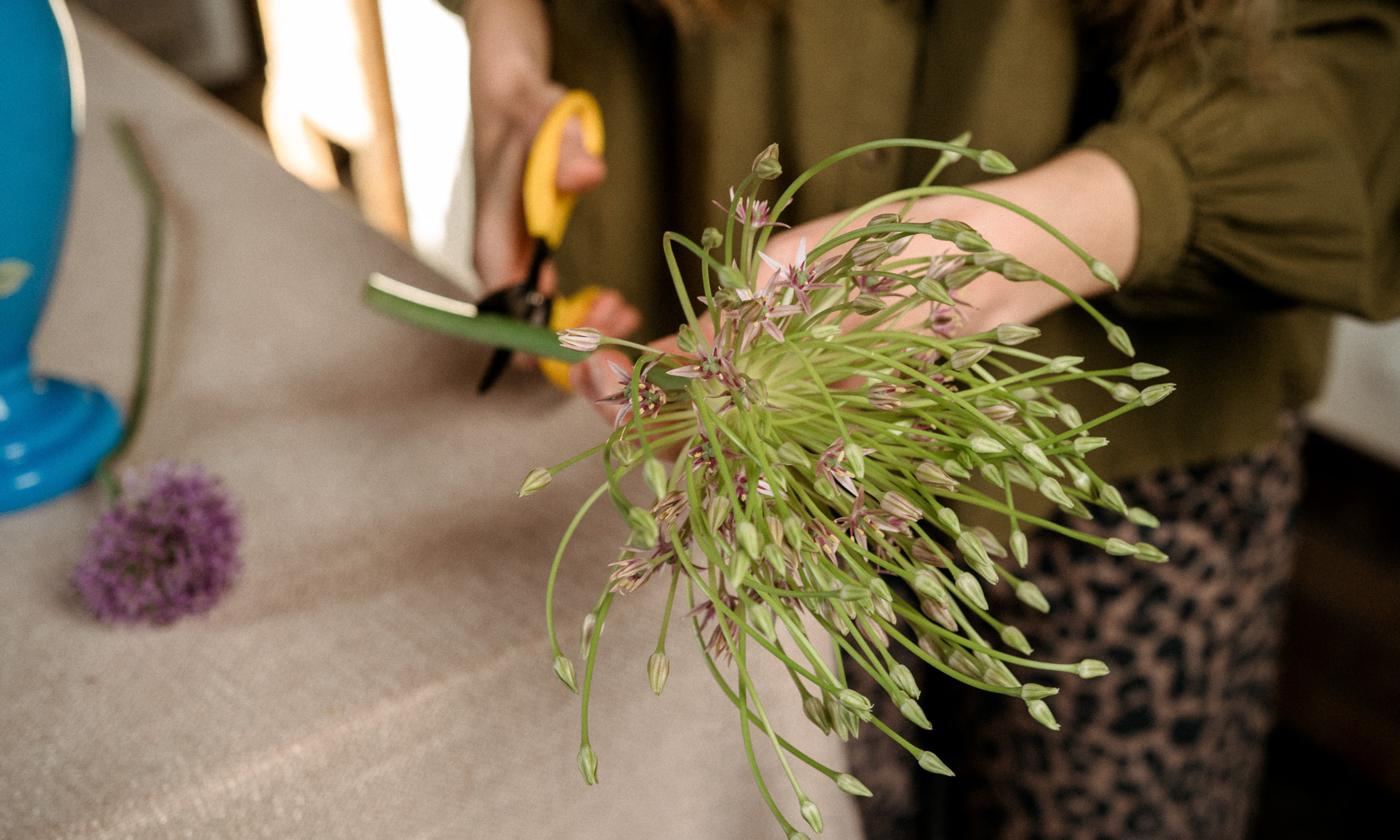 Mains tenant un grand allium coupant l'extrémité de la tige au-dessus d'une table