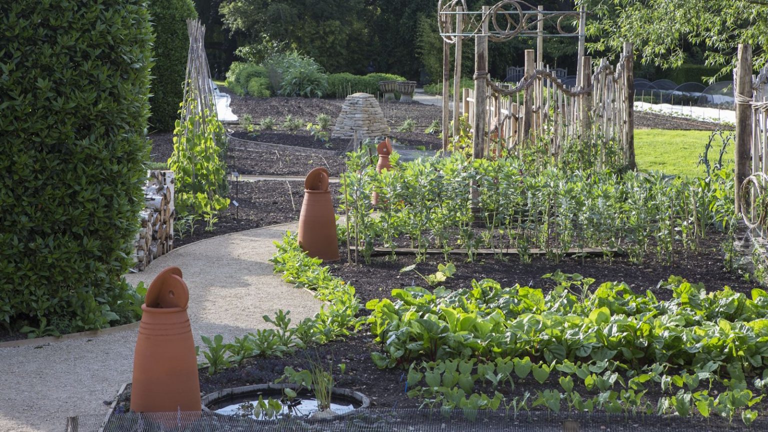 The summer vegetable garden at Le Manoir Aux Quat Saisons