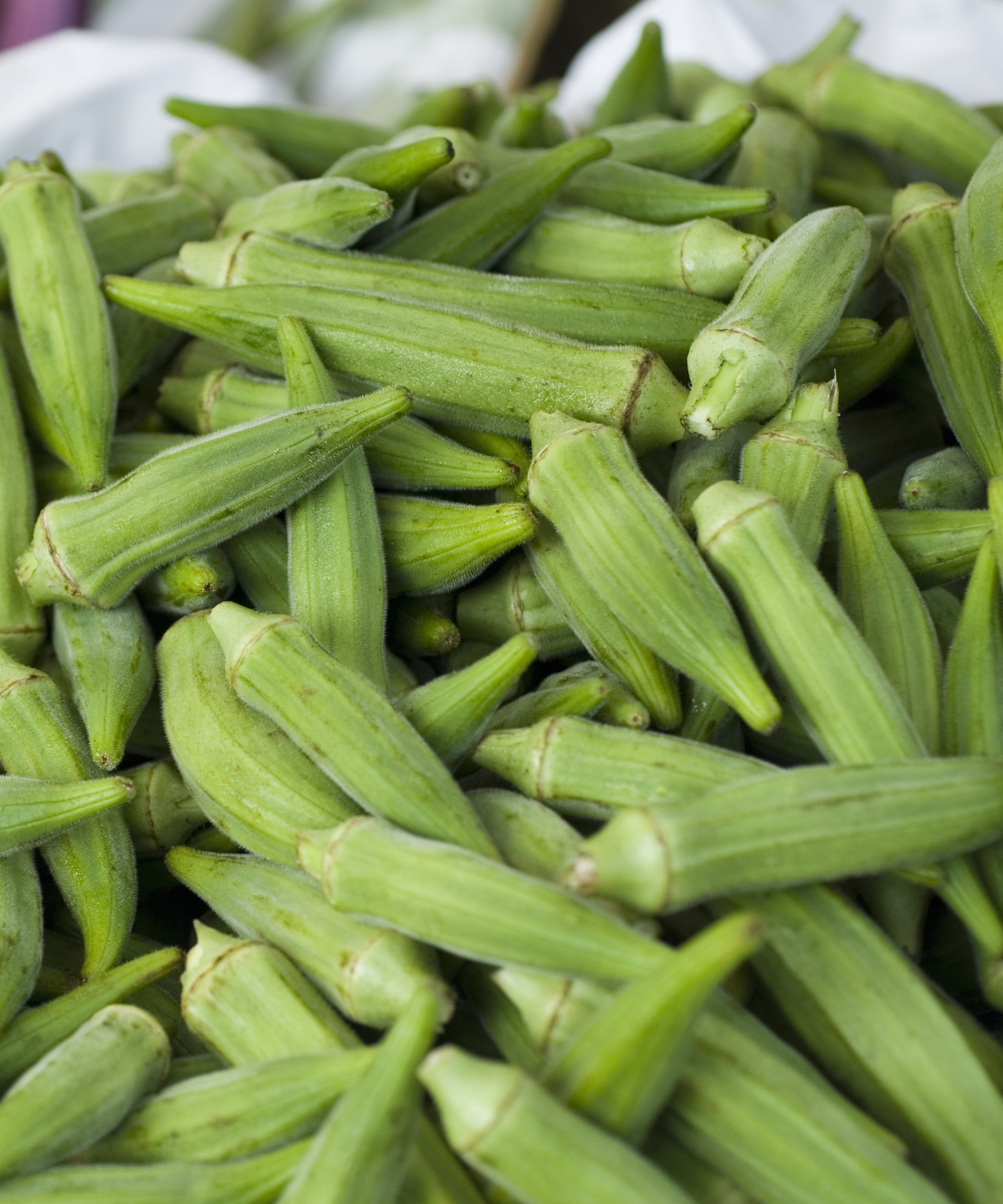 Un panier de gousses de gombo vert récoltées