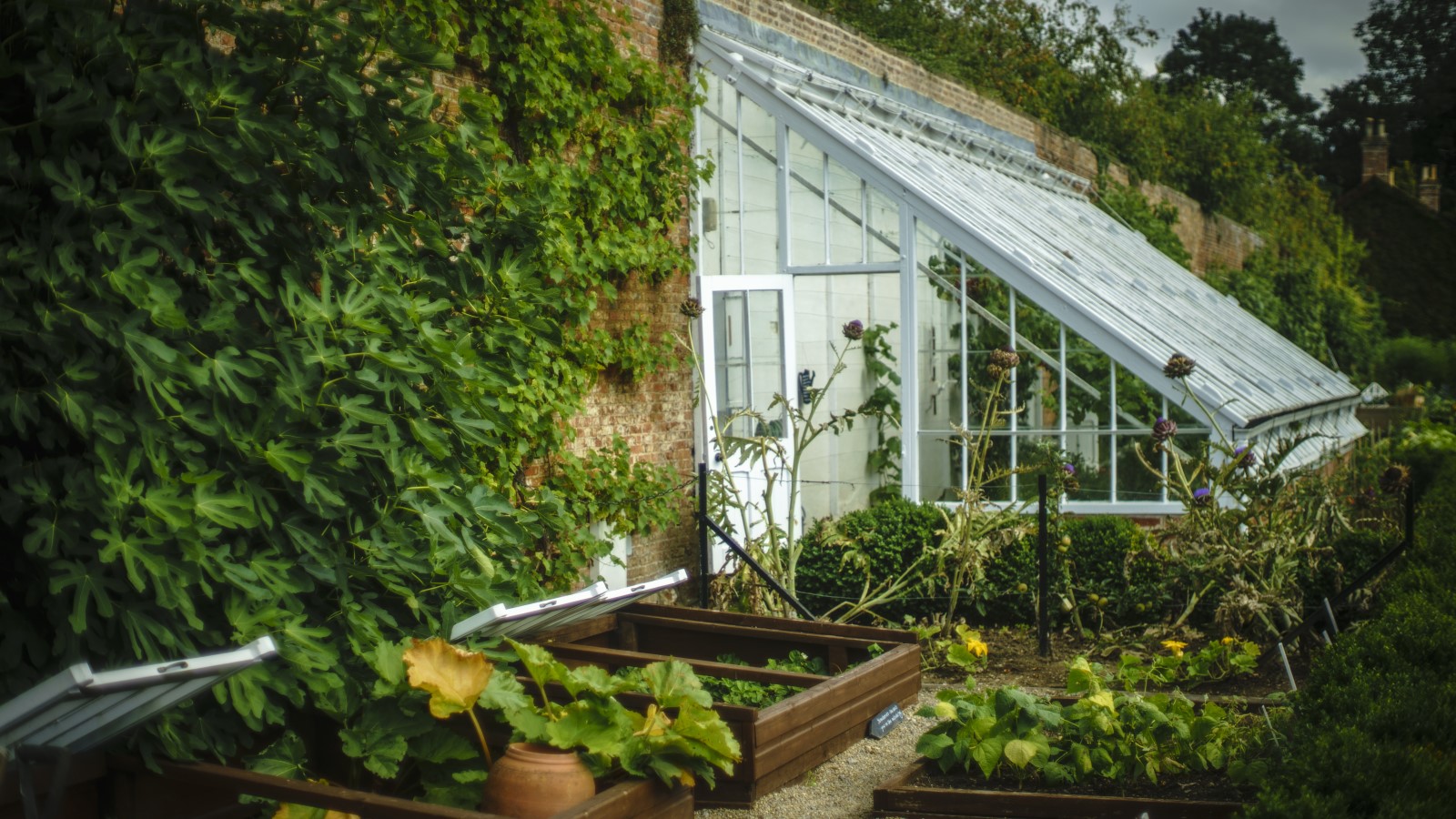 Serre dans un potager