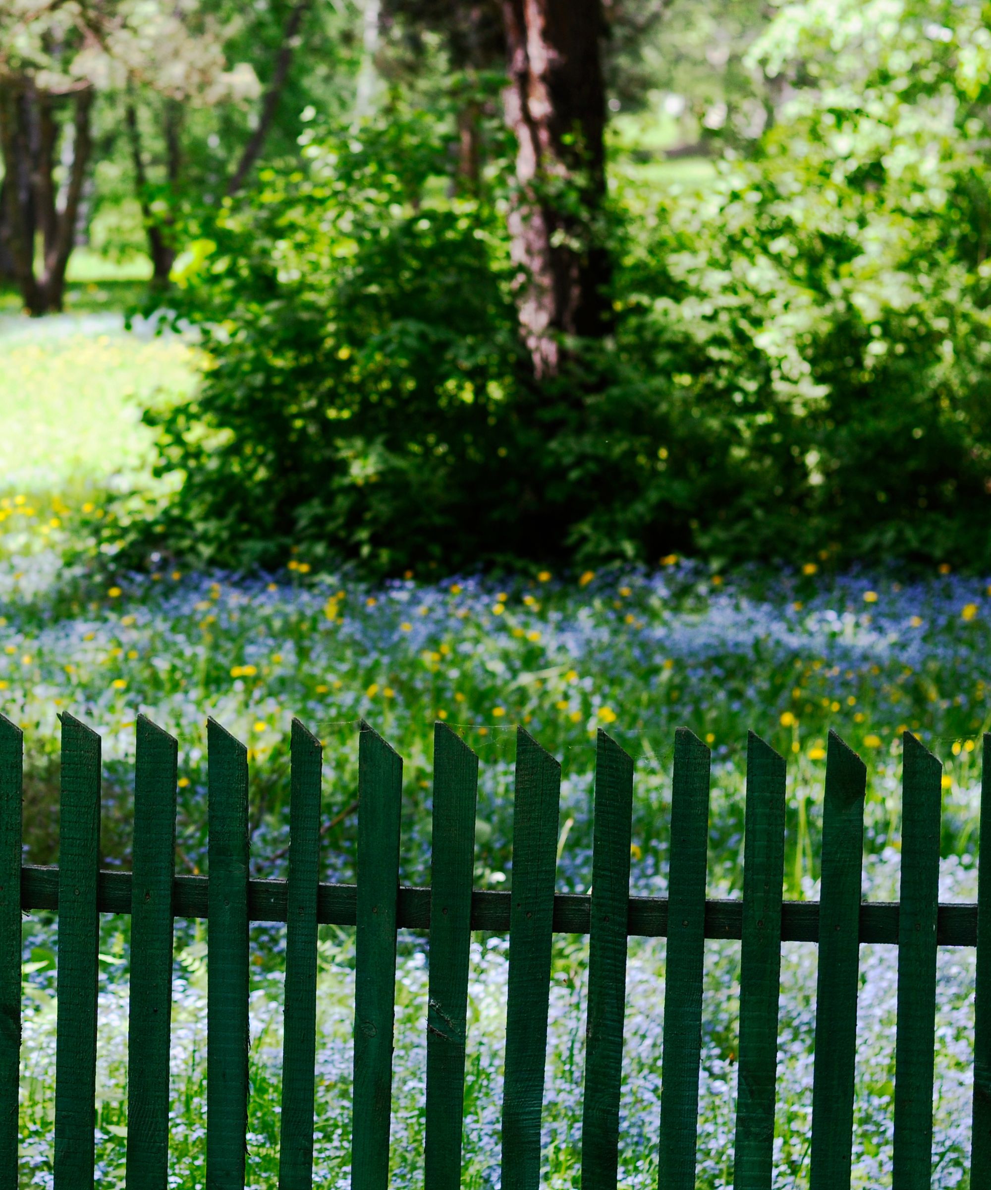 Clôture en bois vert foncé devant un pré de fleurs sauvages