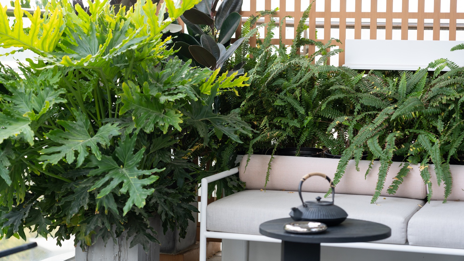 Surchauffe des conteneurs de balcon