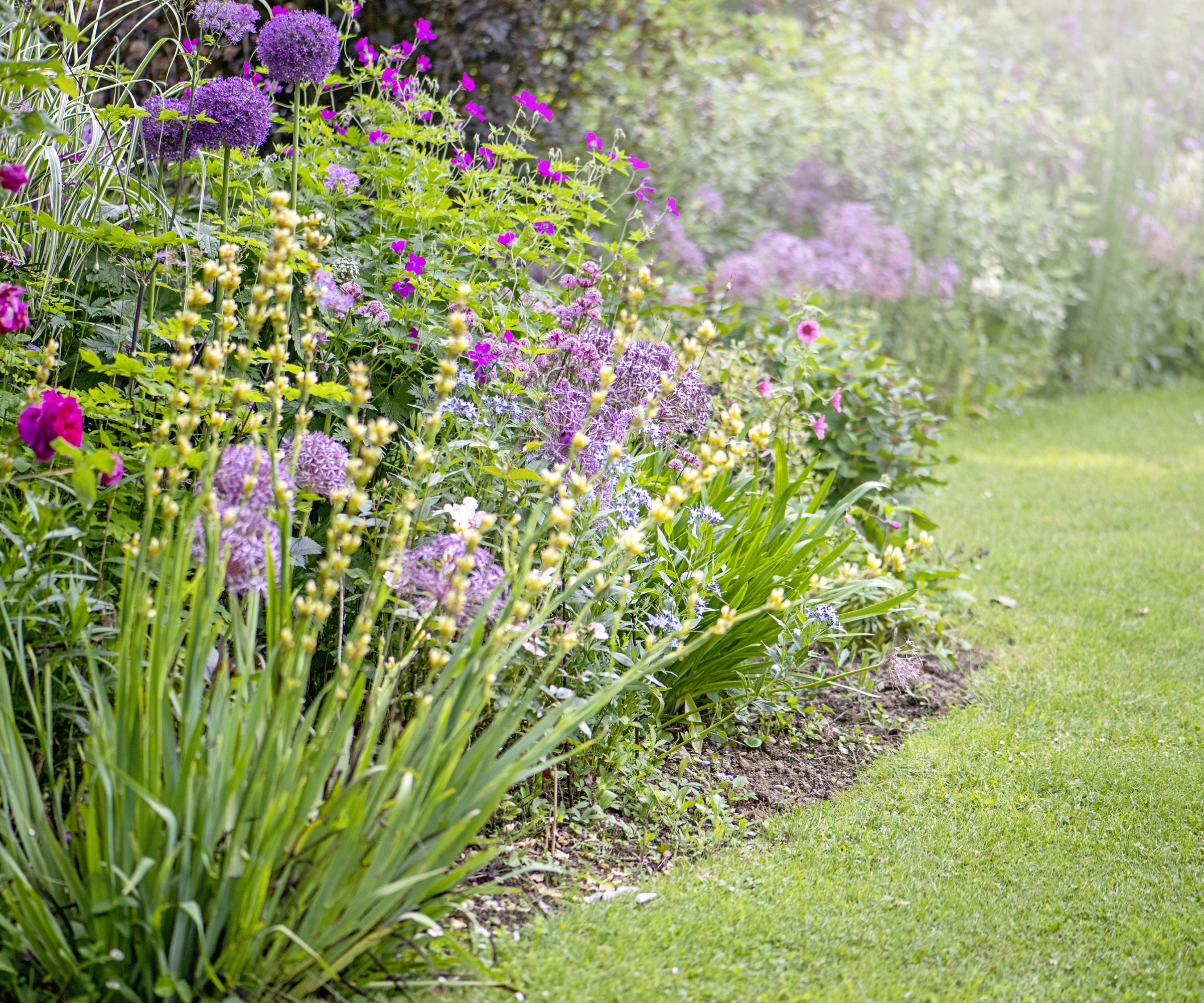 Bordure de jardin, plantation répétée