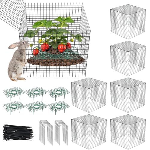 Lot de 6 supports de protection améliorés pour fraises avec protections de plantes en fil métallique robuste pour animaux, cages en maille pour plantes, supports de culture de fraises, support de plantation pour jardin, carré de 12 pouces