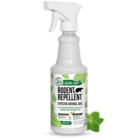 Spray répulsif pour rongeurs à l'huile de menthe poivrée Mighty Mint 16oz