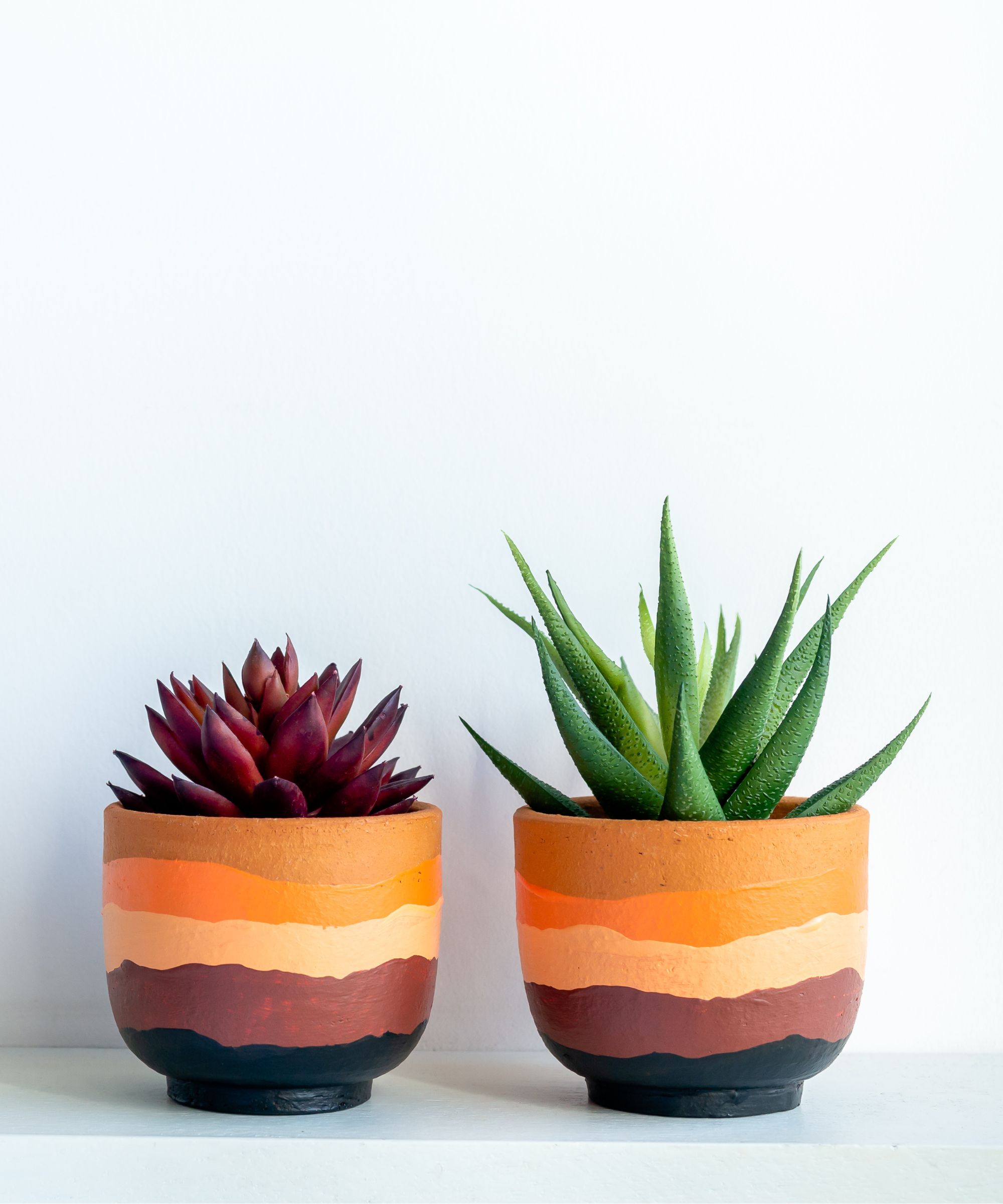 Deux jardinières ombrées orange et noires avec plantes succulentes