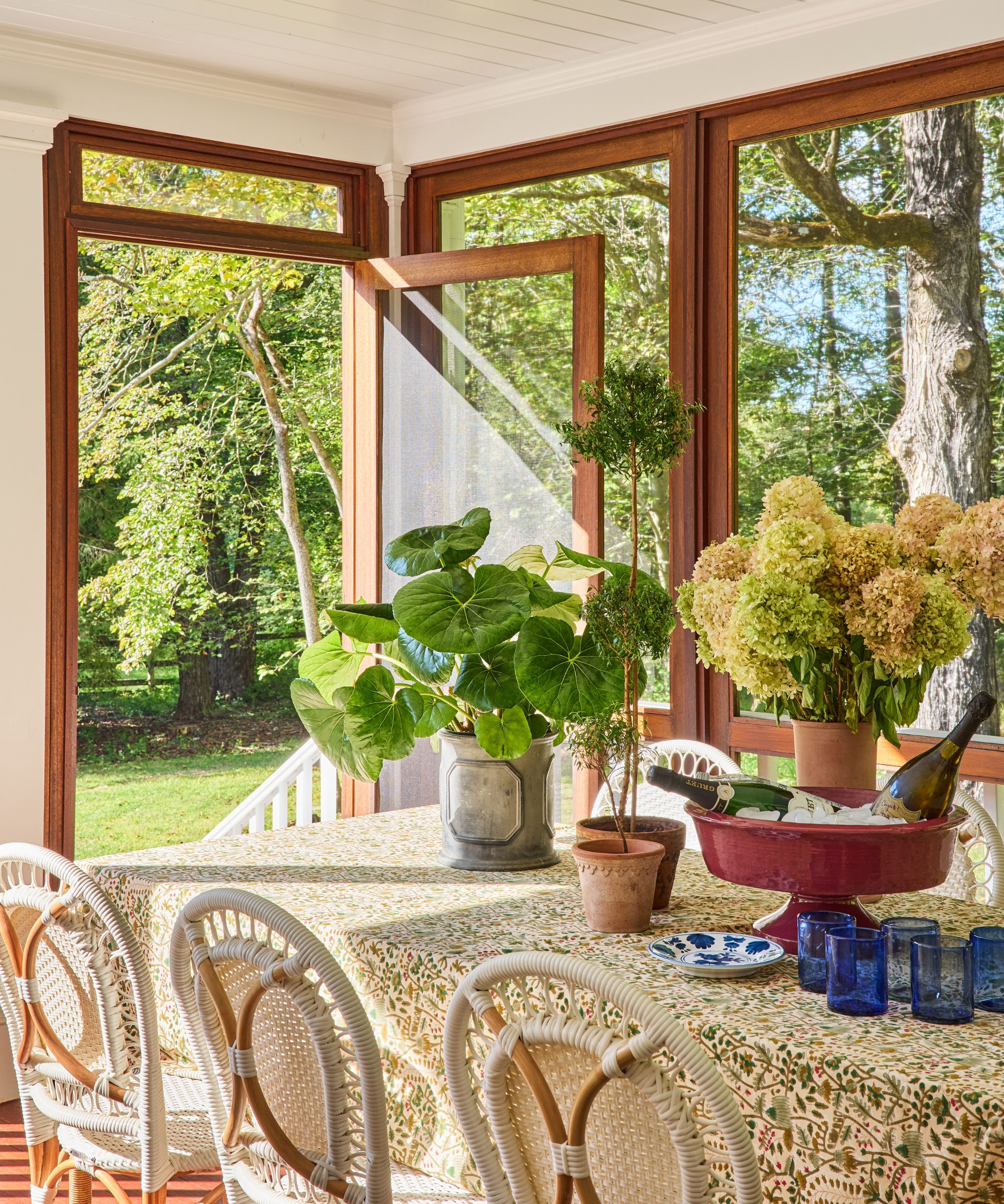 Véranda avec de grandes baies vitrées donnant sur le jardin, une table à manger décorée d'une nappe fleurie, des jardinières, des hortensias, des verres bleus et des chaises en osier blanc nichées en dessous.