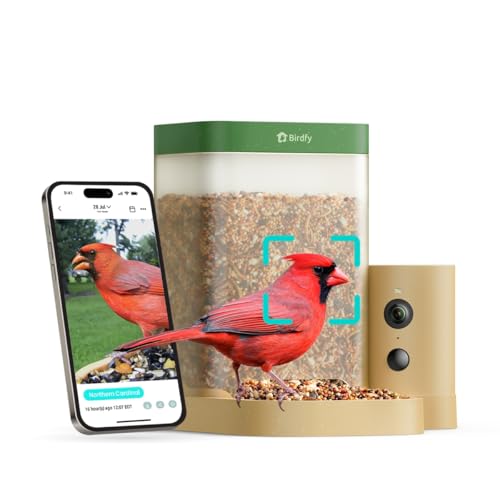 Birdfy Mangeoire à oiseaux intelligente avec caméra pour débutant, mangeoire à oiseaux avec double vision nocturne, reconnaissance Ai Ip66 étanche pour les amateurs d'oiseaux