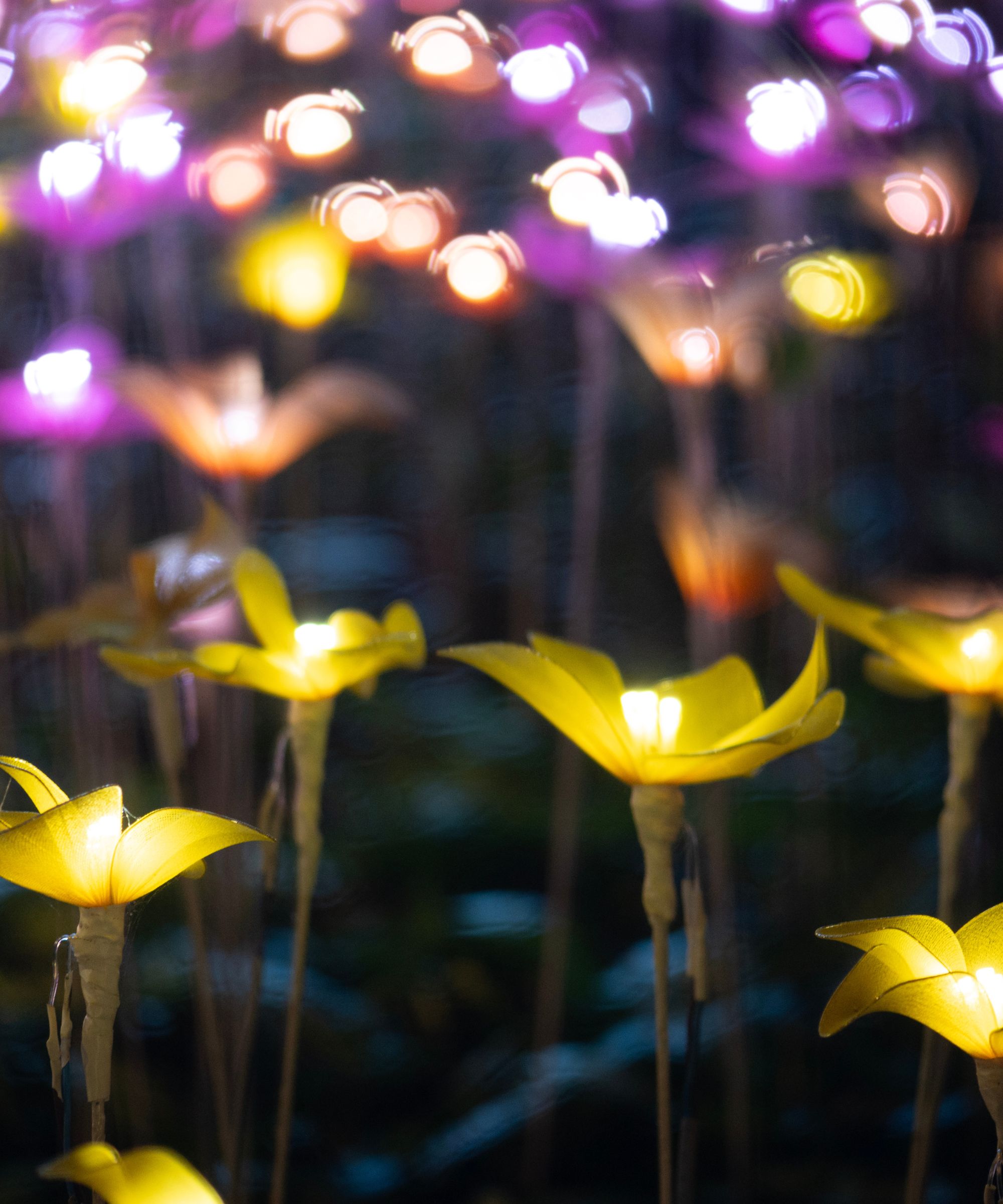 Lampes de jardin LED florales jaunes et violettes