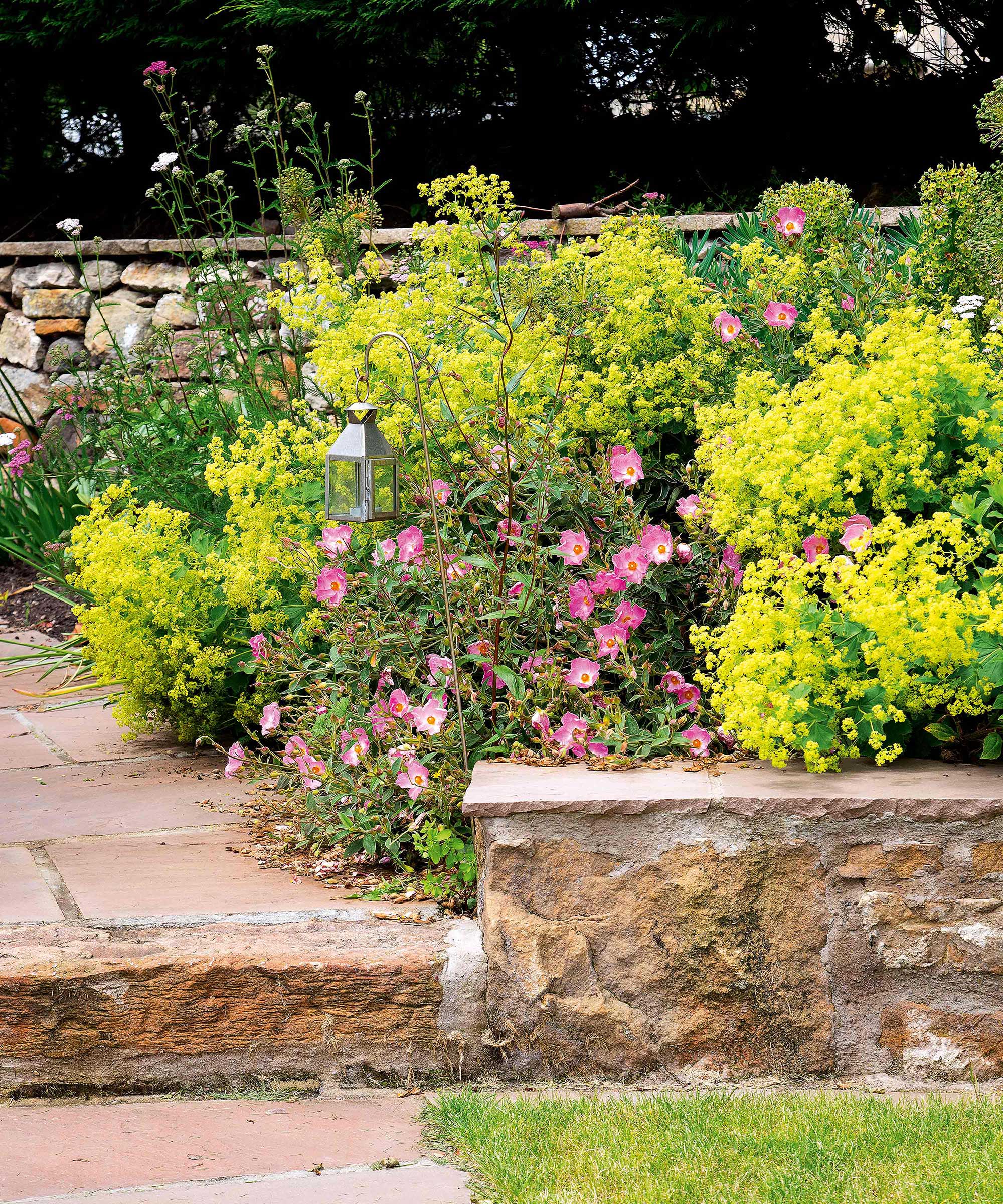 jardin étagé avec plantation lumineuse