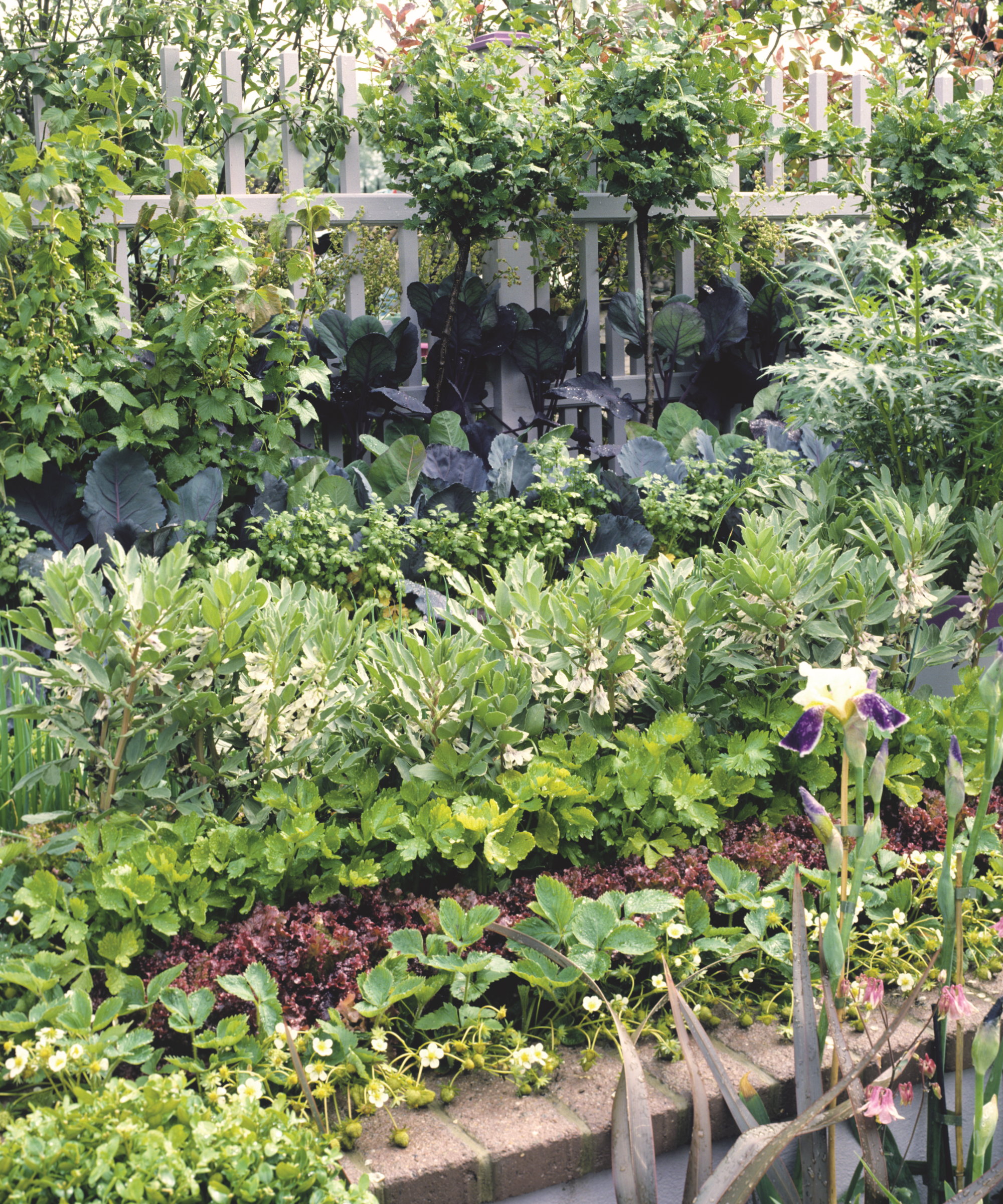 Une sélection de légumes, de fruits et de fleurs poussant dans un lit surélevé