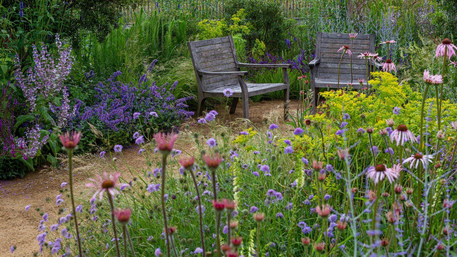 jardin fleuri avec achillée, échinacée, monarde et autres plantes vivaces, avec allée de gravier et chaises de jardin en bois