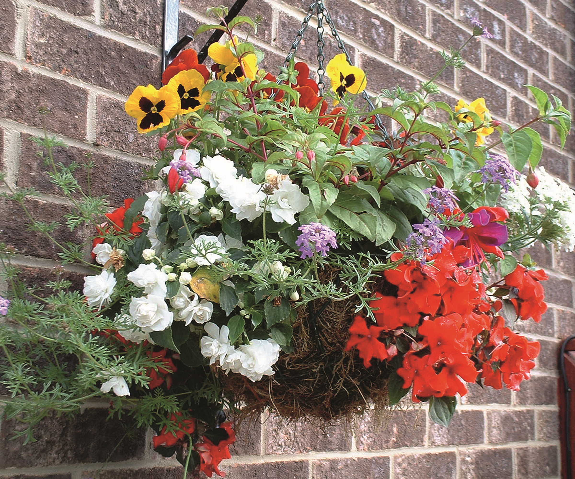 Un panier suspendu lumineux plein de fleurs en été